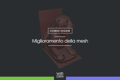 miglioramento mesh